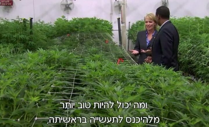 רואים עולם: מהפכת הקנאביס הרפואי בקולורדו