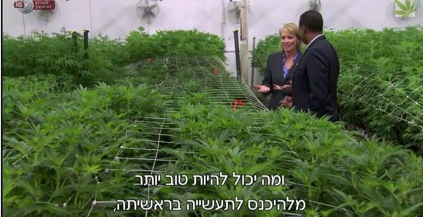 רואים עולם: מהפכת הקנאביס הרפואי בקולורדו