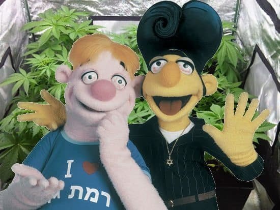 איך מחשבים עלות חשמל לגידול קנאביס?