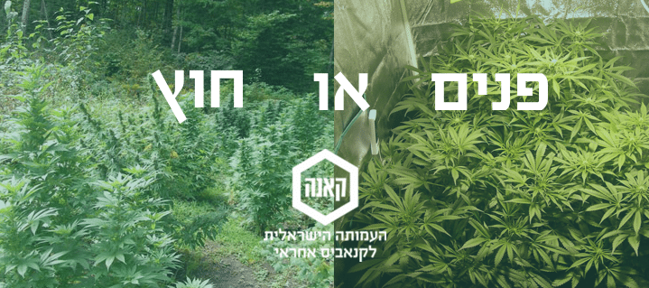ההחלטה הראשונה: גידול פנים או חוץ?