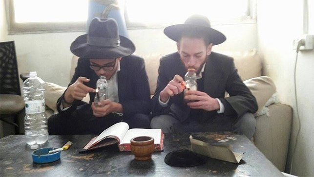 מצלמים לגליזציה – סטלנים מצייצים