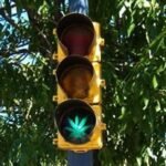 קנאביס, אלכוהול ונהיגה – איך זה משפיע?