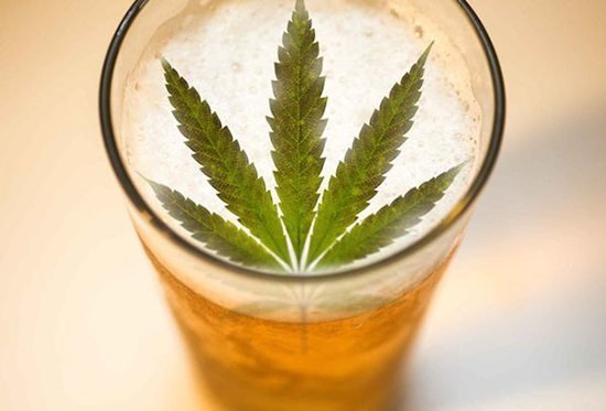 weed-infused-beer-is-a-real-thing-and-we-tell-you-how-to-make-it