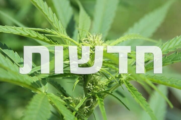 ירוק בעולם: נברסקה ואוקלהומה נגד קולורדו, דרום אפריקה מרססת שדות מהאוויר