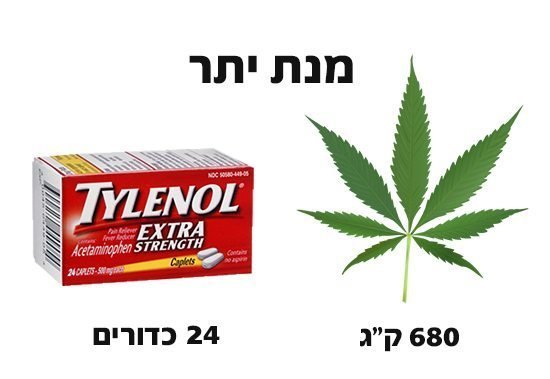 קנאביס ומחלות קשות – יותר רפואי ממה שנדמה לנו