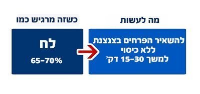 לח