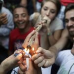 לגליזציה של קנאביס – הדשא של הסטודנטים ירוק יותר! (אם תרצו)