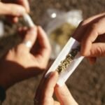 יתרונות הקנאביס – למה כדאי לעשן קנאביס באופן יומיומי