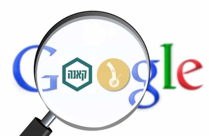 10 תשובות לשאלות שהכי מחפשים בגוגל על קנאביס