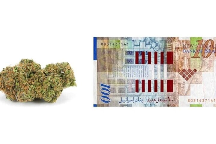 מה האי הפללה תעשה למחיר של גרם קנאביס בשוק השחור ?