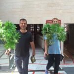 קאנה והידרושופ – הקשר האפל “נחשף”