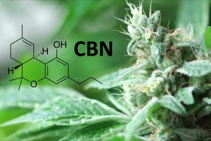 מה זה הקנבינואיד CBN (קנאבינול)? ומהם היתרונות הבריאותיים שלו?