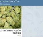 לראשונה: משתמשים בטלגראס מקבלים זימון לחקירה במשטרה