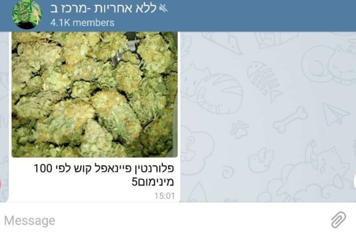 לראשונה: משתמשים בטלגראס מקבלים זימון לחקירה במשטרה