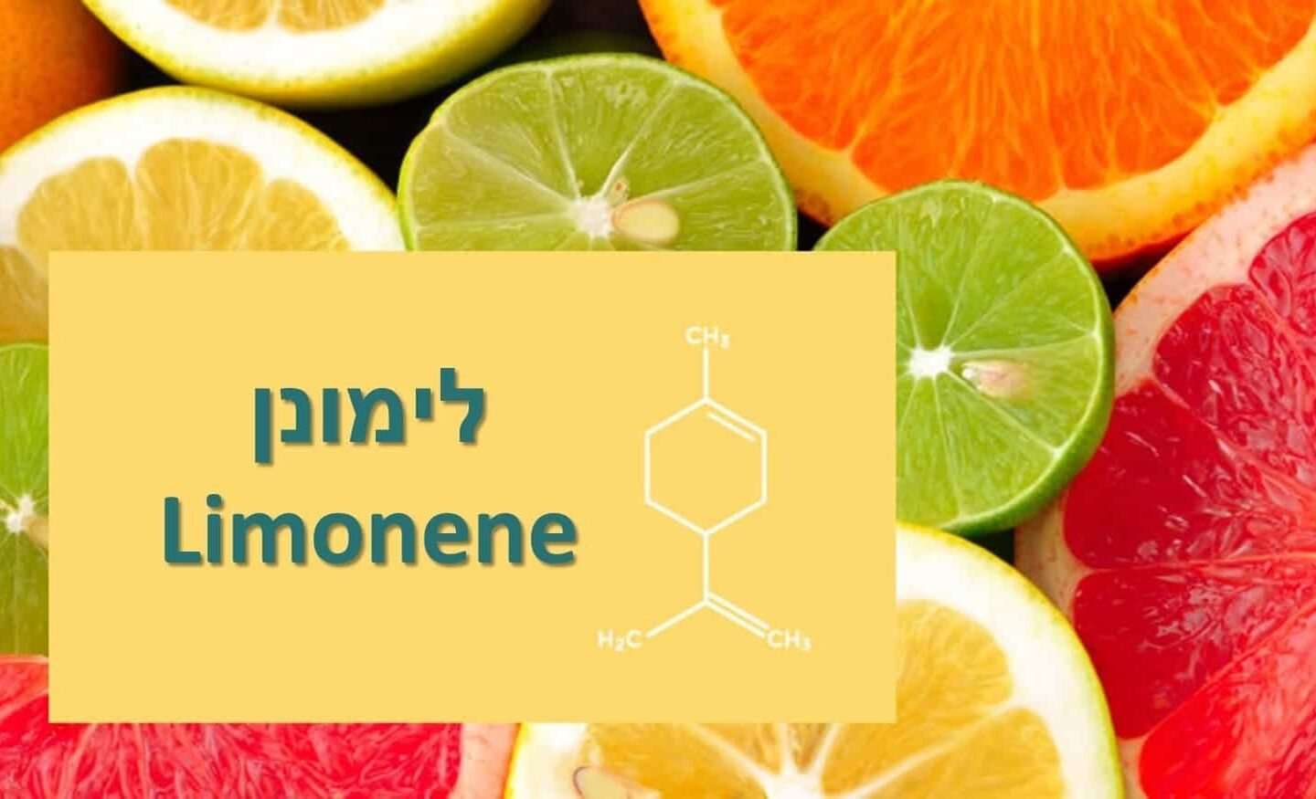 מה זה לימונן (Limonene), ומה הם היתרונות של טרפן הקנאביס הנפוץ כל כך?