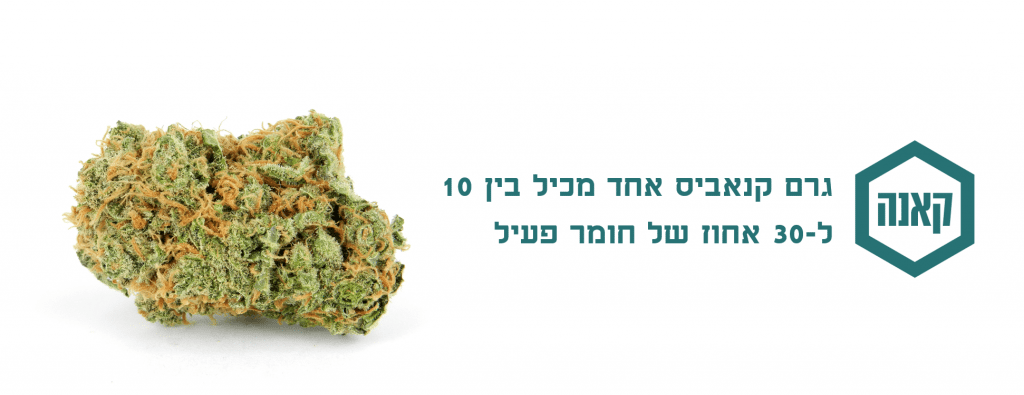 קנאביס ואוכל כיצד לחשב מינונים של THC או