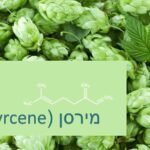 מירסן (Myrcene) הטרפן החשוב ביותר בקנאביס שנפוץ בזני האינדיקה