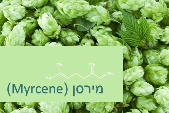מירסן (Myrcene) הטרפן החשוב ביותר בקנאביס שנפוץ בזני האינדיקה