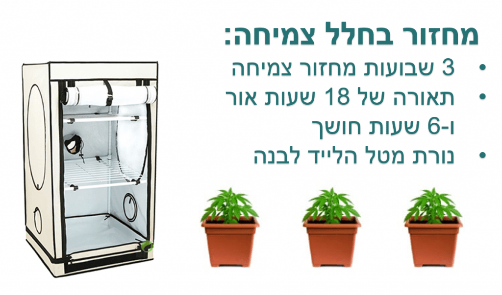 עקרון הרצף שיטת מחזוריות מתמדת בגידול קנאביס
