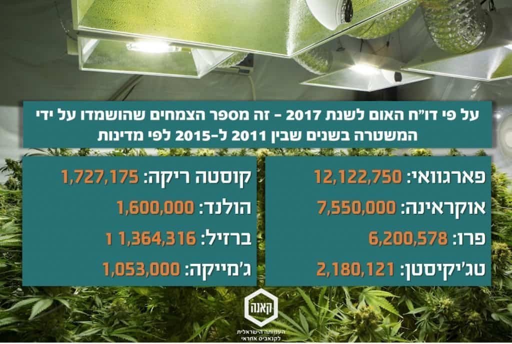 פורסם דו”ח הסמים של האו”ם לשנת 2017 אין
