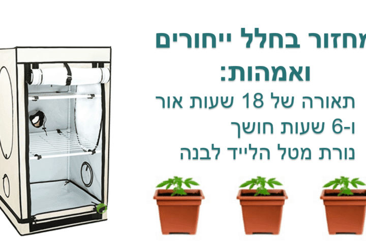 מריחואנה זה לא קנאביס