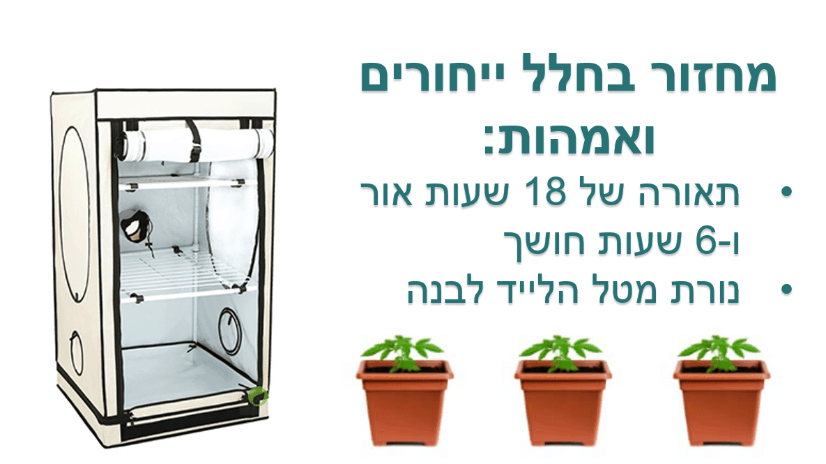 מריחואנה זה לא קנאביס