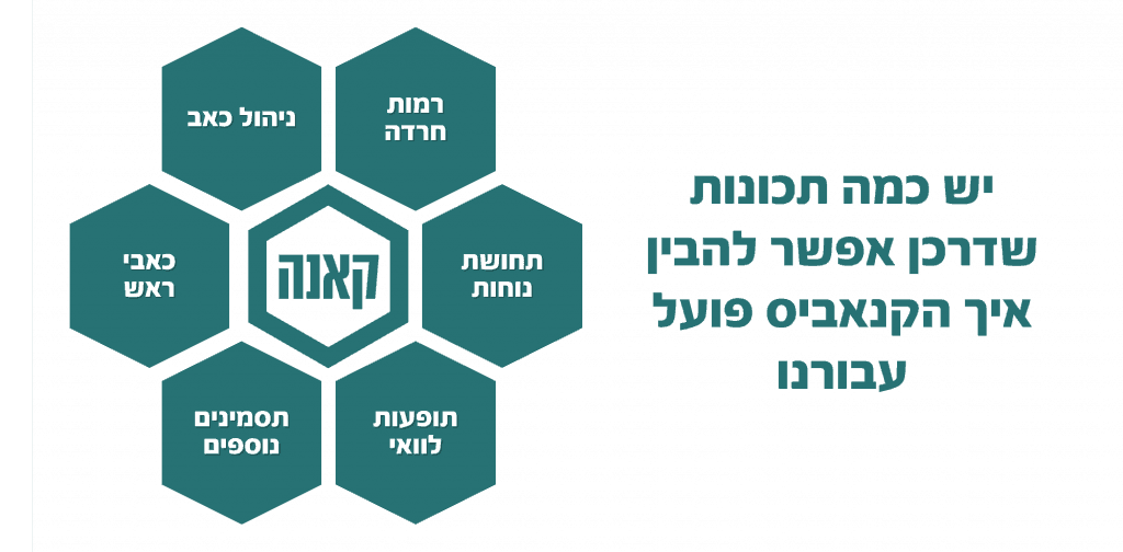 8 עובדות על קנאביס שכדאי לכם לדעת