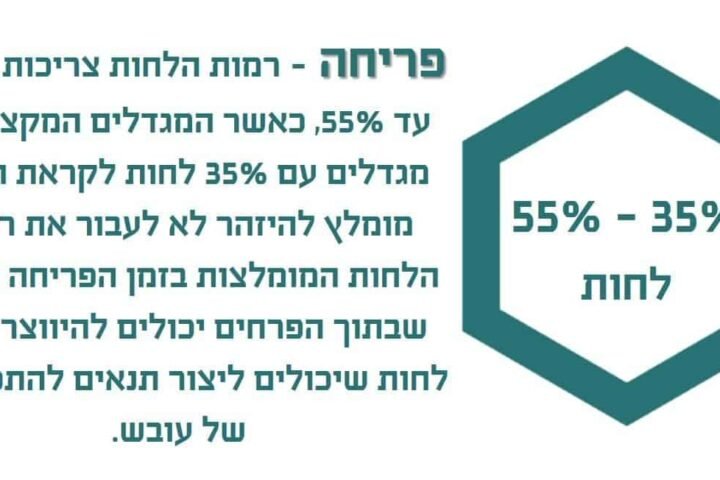 ישראלי עוכב בנתב”ג בגלל פסטה ושוקולד מ’קנאביס’