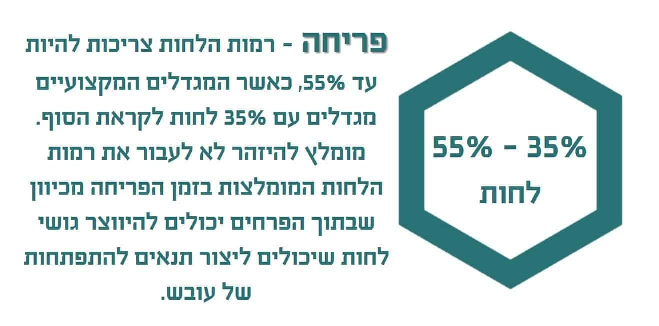ישראלי עוכב בנתב”ג בגלל פסטה ושוקולד מ’קנאביס’