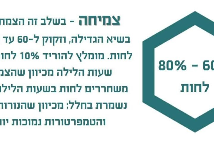 חפש את המטמון גרסת הטלגראס