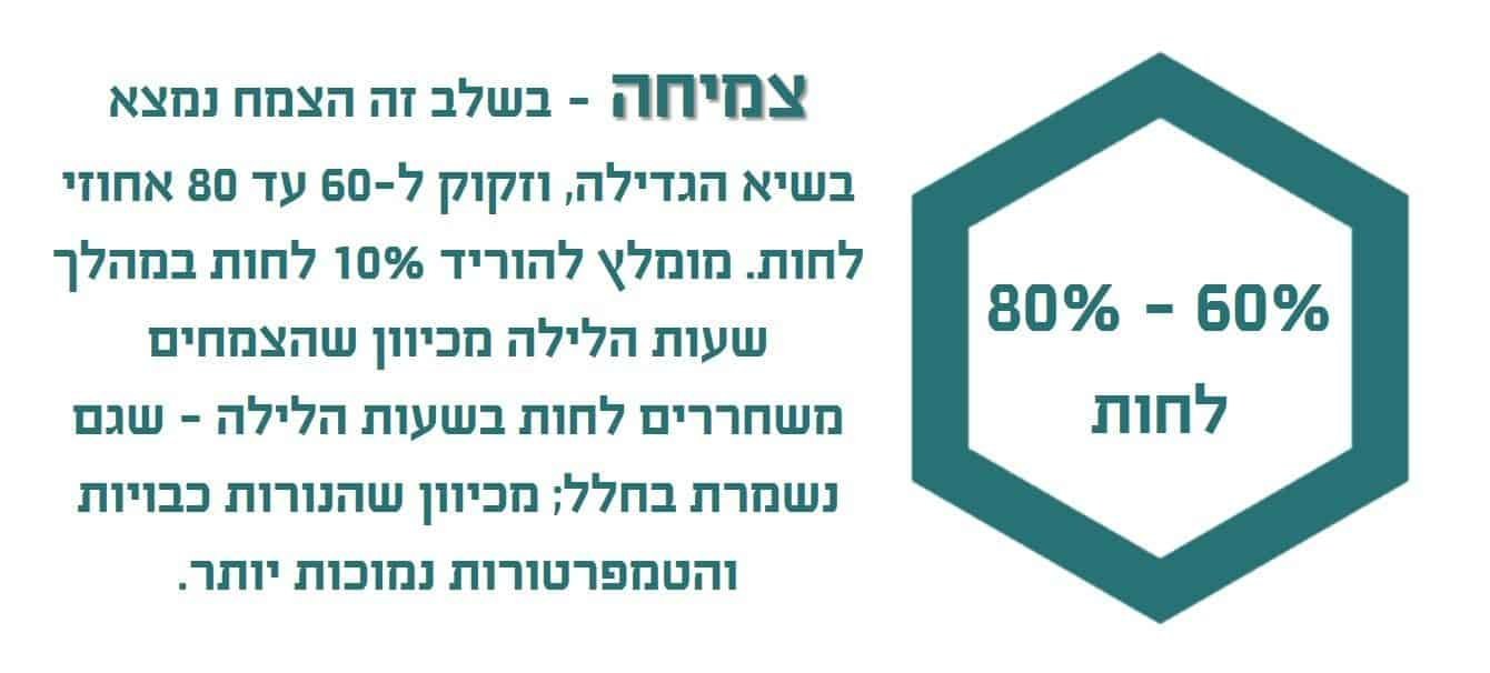 חפש את המטמון גרסת הטלגראס