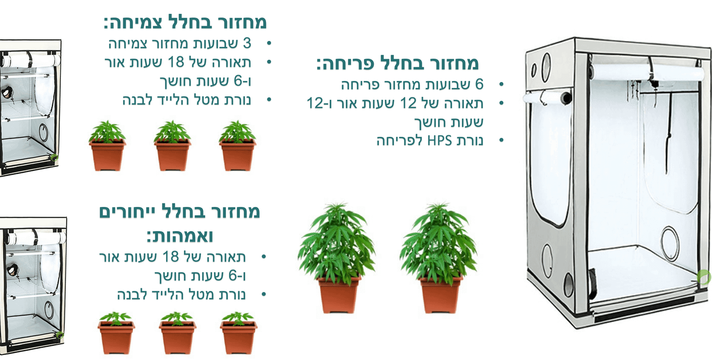 חקירה, מעצר ושחרור: שלומי סנדק על בזבוז הכספים של משטרת ישראל
