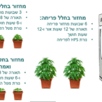 חקירה, מעצר ושחרור: שלומי סנדק על בזבוז הכספים של משטרת ישראל