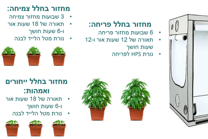 חקירה, מעצר ושחרור: שלומי סנדק על בזבוז הכספים של משטרת ישראל