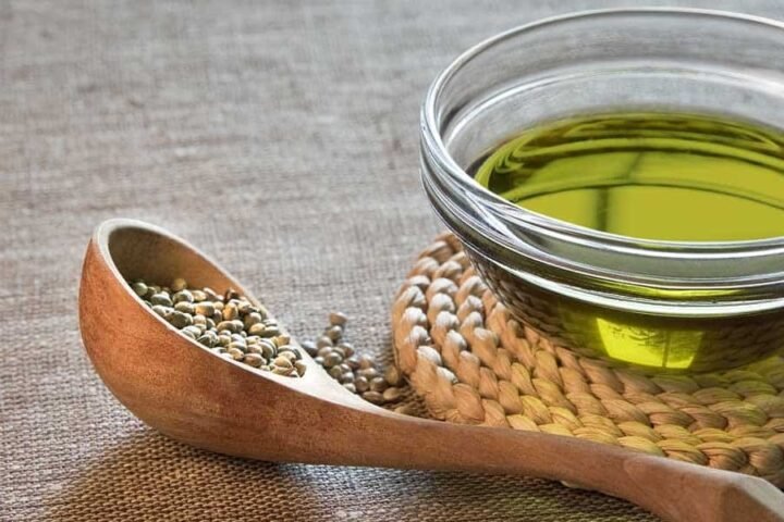 גידול המפ – לגשר בין חקלאות לרפואה: מה הקשר בין ביטחון תזונתי וקנאביס?