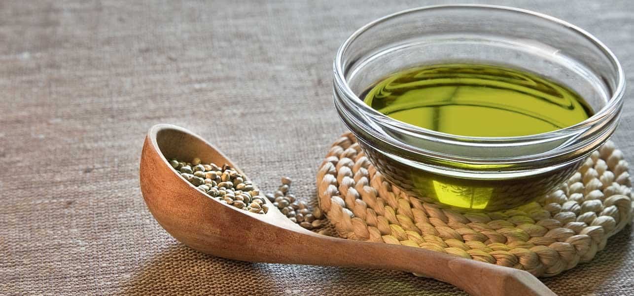גידול המפ – לגשר בין חקלאות לרפואה: מה הקשר בין ביטחון תזונתי וקנאביס?