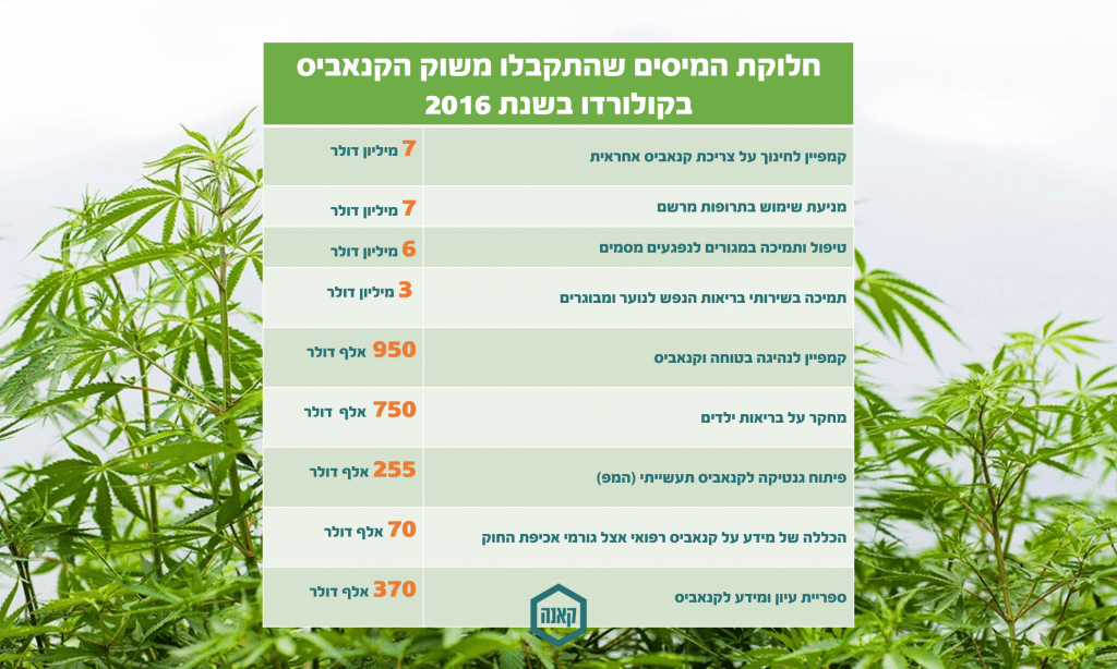 קנאביס בקולורדו מעל מיליארד דולר מכירות ב-8 חודשים