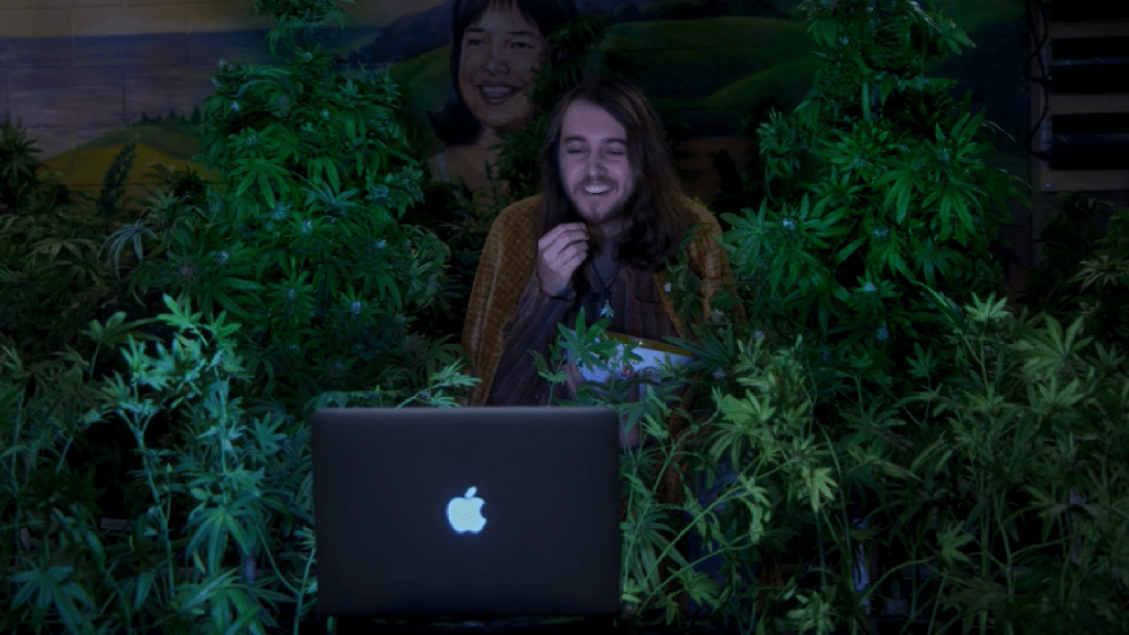 ביקורת סדרה הפוכים (Disjointed)