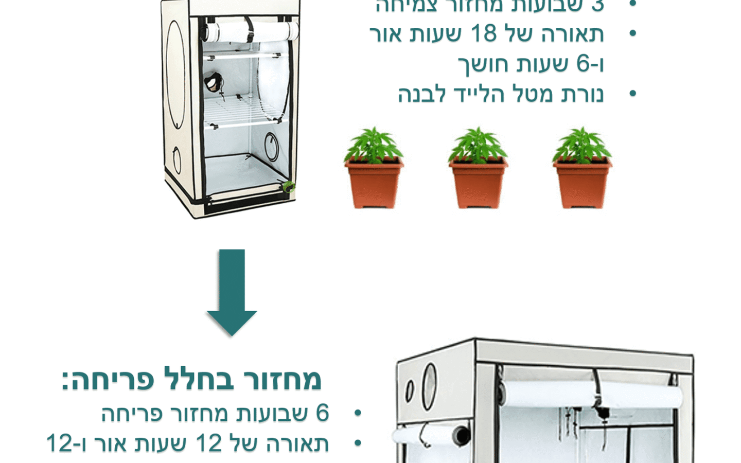 ביקורת סדרה: הפוכים (Disjointed)