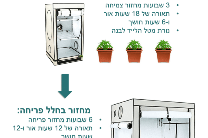ביקורת סדרה: הפוכים (Disjointed)
