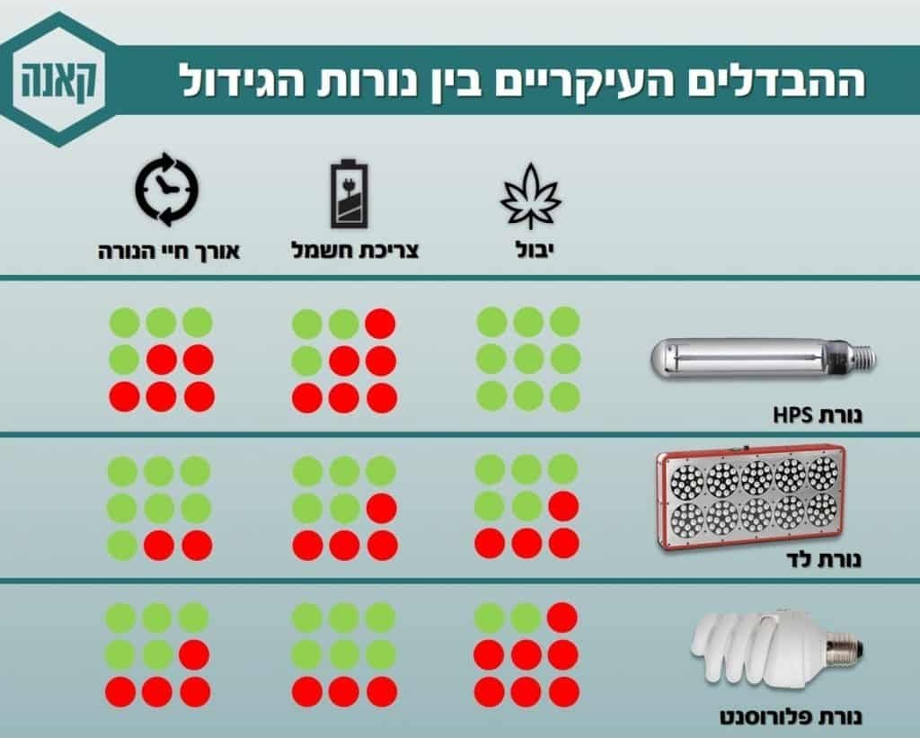 נורת לד לגידול צמחים