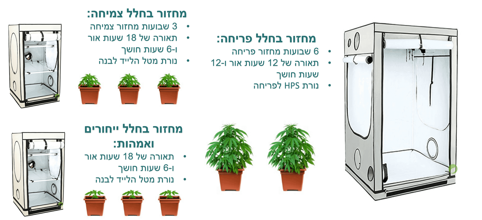 תמונה היסטורית מתוך סיפורו של שלומי סנדק