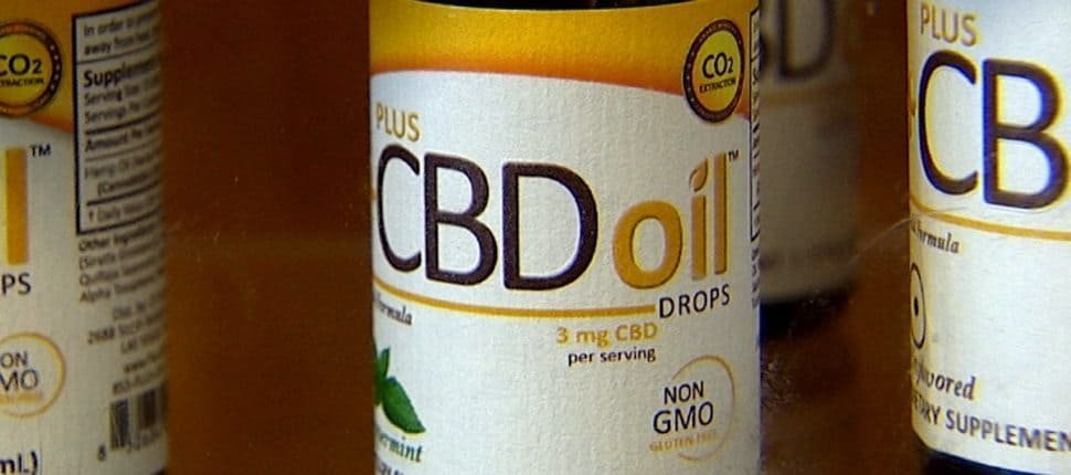 ארגון הבריאות העולמי מכריז: CBD מסייע לטיפול ב-17 מחלות ומצבים רפואיים