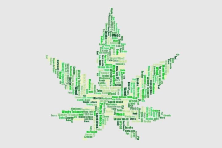 וויד, גראס או מריחואנה? 20 כינויים שונים לצמח הקנאביס