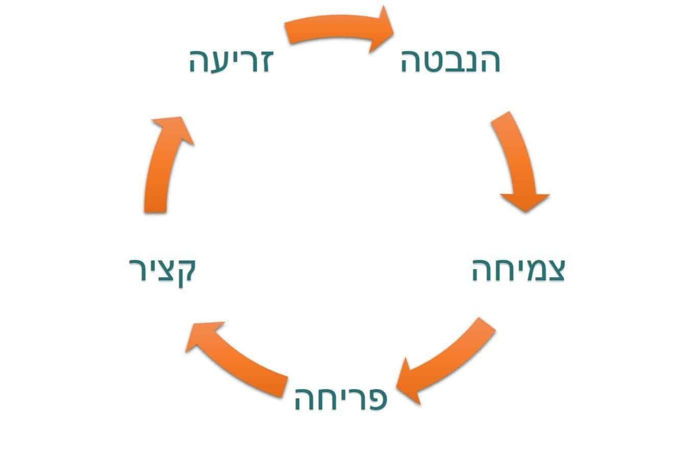 טלגראס בישראל הטוב הרע והמכוער
