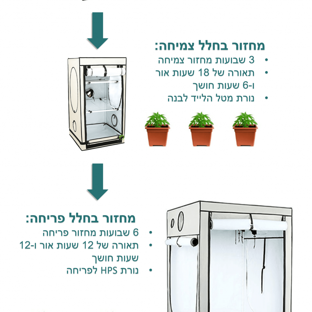 הפוכים