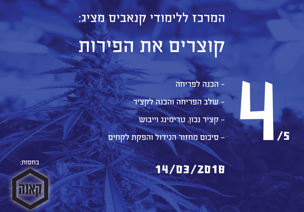 מודעה - שיעור 4 מתוך 5 - קורס גידול קנאביס (המרכז ללימודי קנאביס)