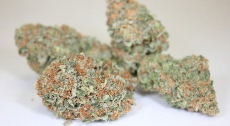 בלו צ’יז – Blue Cheese
