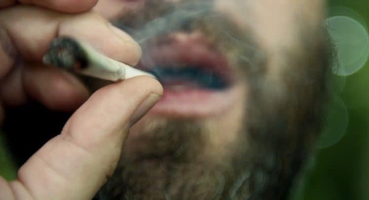 מדריך: כיצד להתמודד עם סטלה חזקה מדי?