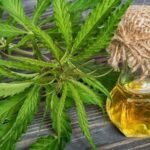 מחקר מראה: CBD מטפל בילדים עם אפילפסיה חמורה